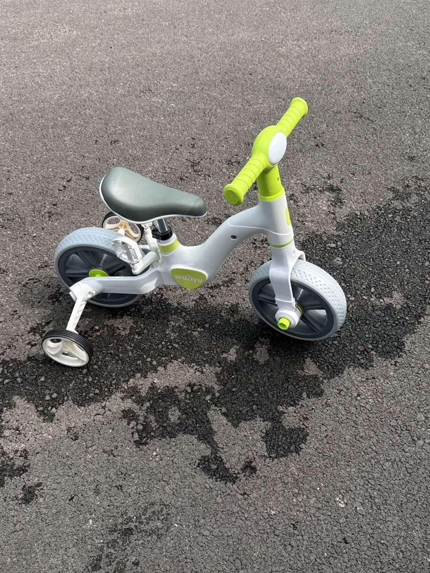 Wanyu Kids Multifunctional Tricycle
